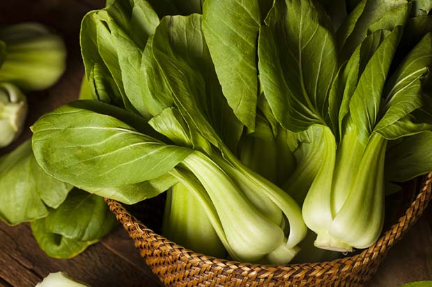 Plant winter greens such as bok choy this month. Photo: Bhofack2 | Dreamstime.com