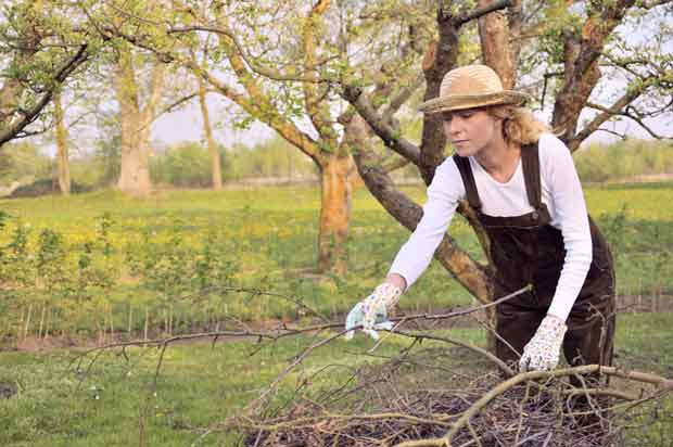 5 tools for pruning