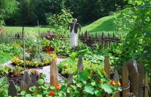 Winter is the time to start thinking about planning your garden