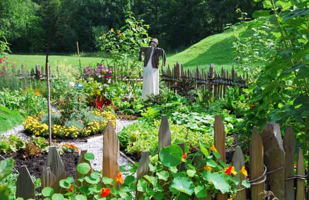 Winter is the time to start thinking about planning your garden