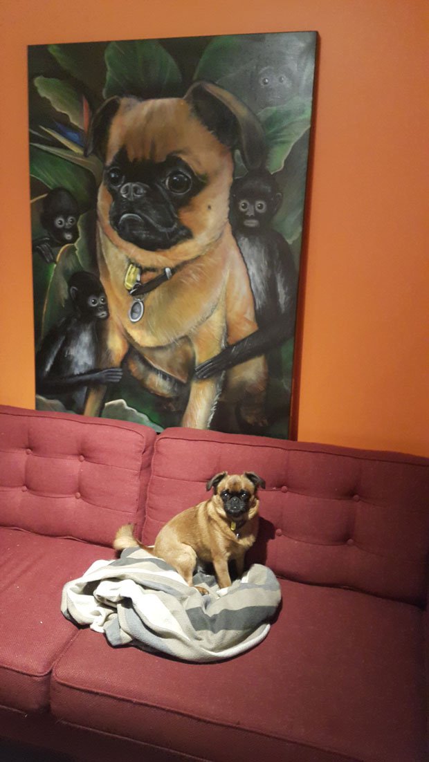 Frida Kahlo the dog sitting next to an artwork by Paul Walsh. The piece is a play on the famous 1943 artwork by Frida Kahlo the artist called Self-portrait with Monkeys.