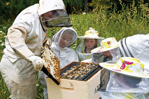 Hukerenui School child beekeeper