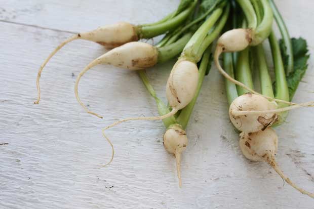 Try growing baby turnips in September.