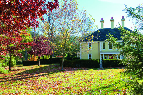 Patricky Rattray Marlborough Garden and home