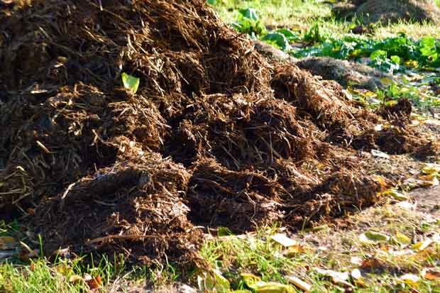 How to Mix Horse Manure With Soil 