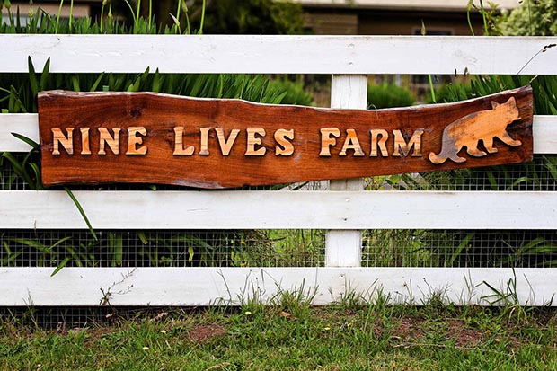 Nine Lives farm