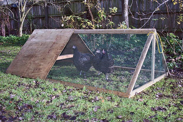 How to build a simple chicken coop