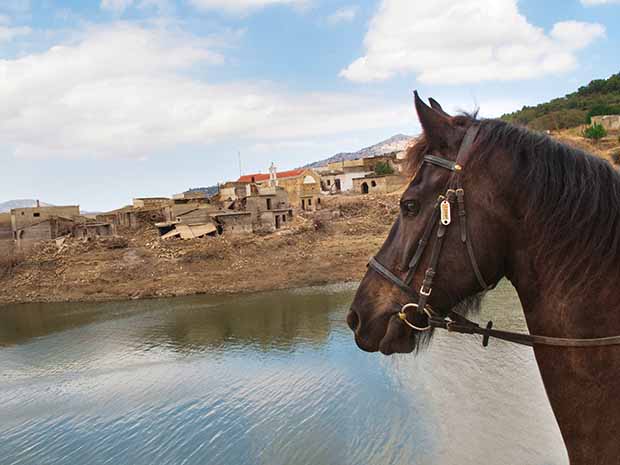 crete horseback