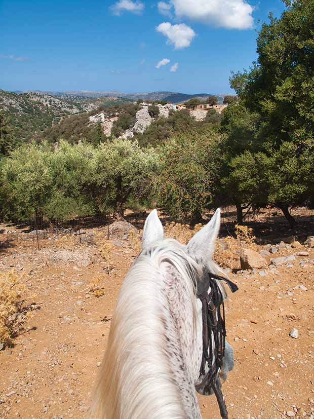 crete horseback
