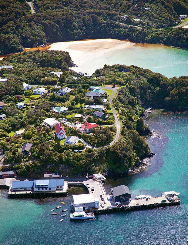 The Insider's Guide to Stewart Island What to do, where to eat and