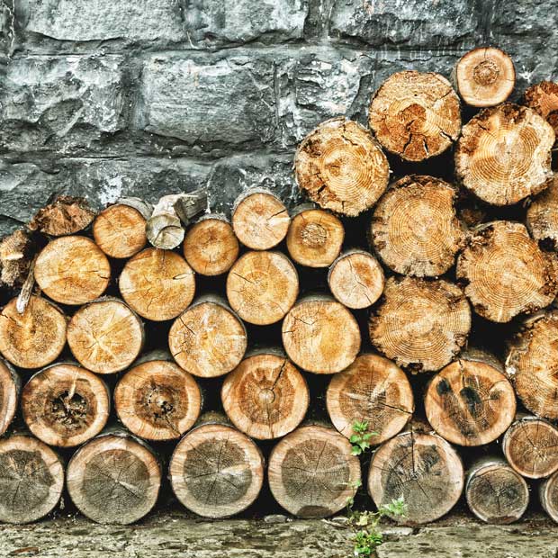 how to check if your firewood is dry enough wood