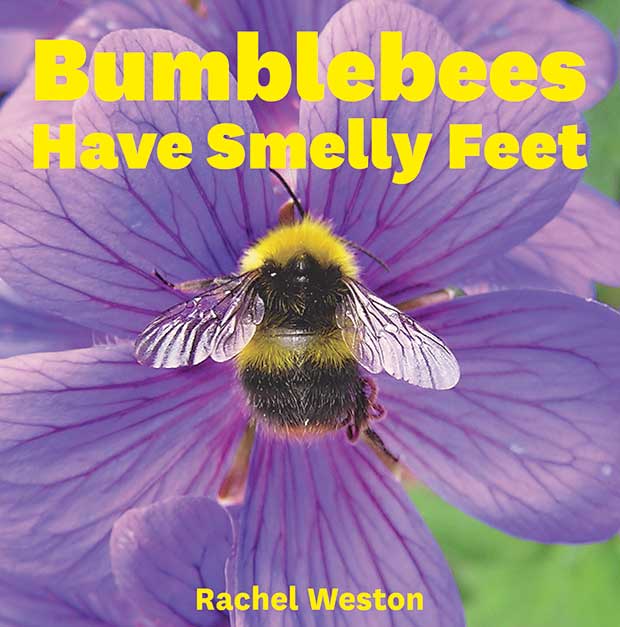 Did You Know Bumblebees Have Smelly Feet Why Natures - 