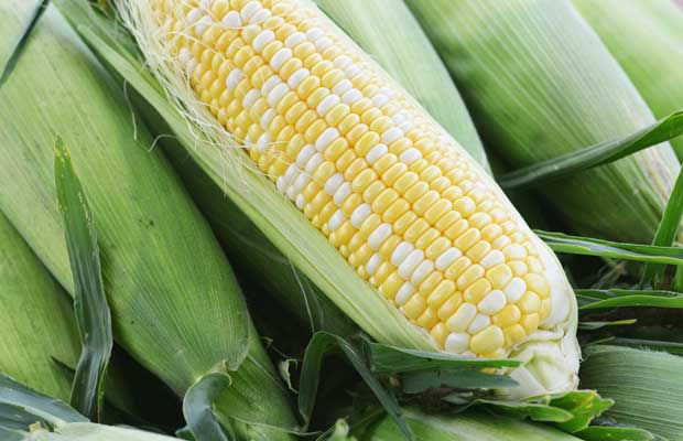 can corn good for you