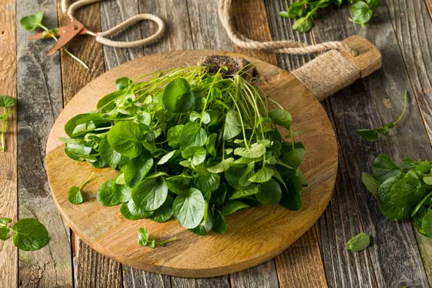https://thisnzlife.co.nz/wp-content/uploads/2019/11/watercress-on-table.jpg