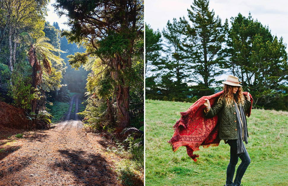 The re-wilding of Joanna Wickham: This photographer left Auckland to run a  glamping business in the bush